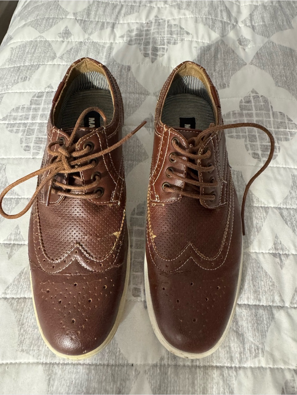 Steve Madden Brown Perforated Leather Wingtip Oxfords